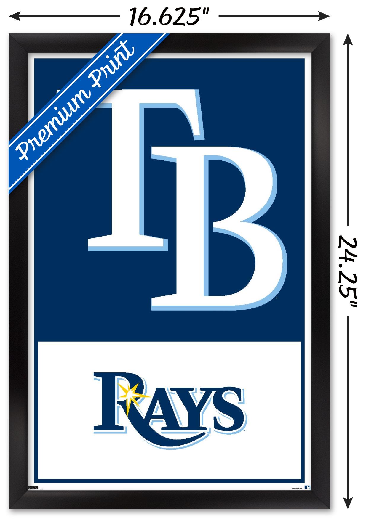 MLB Tampa Bay Rays Logo 22