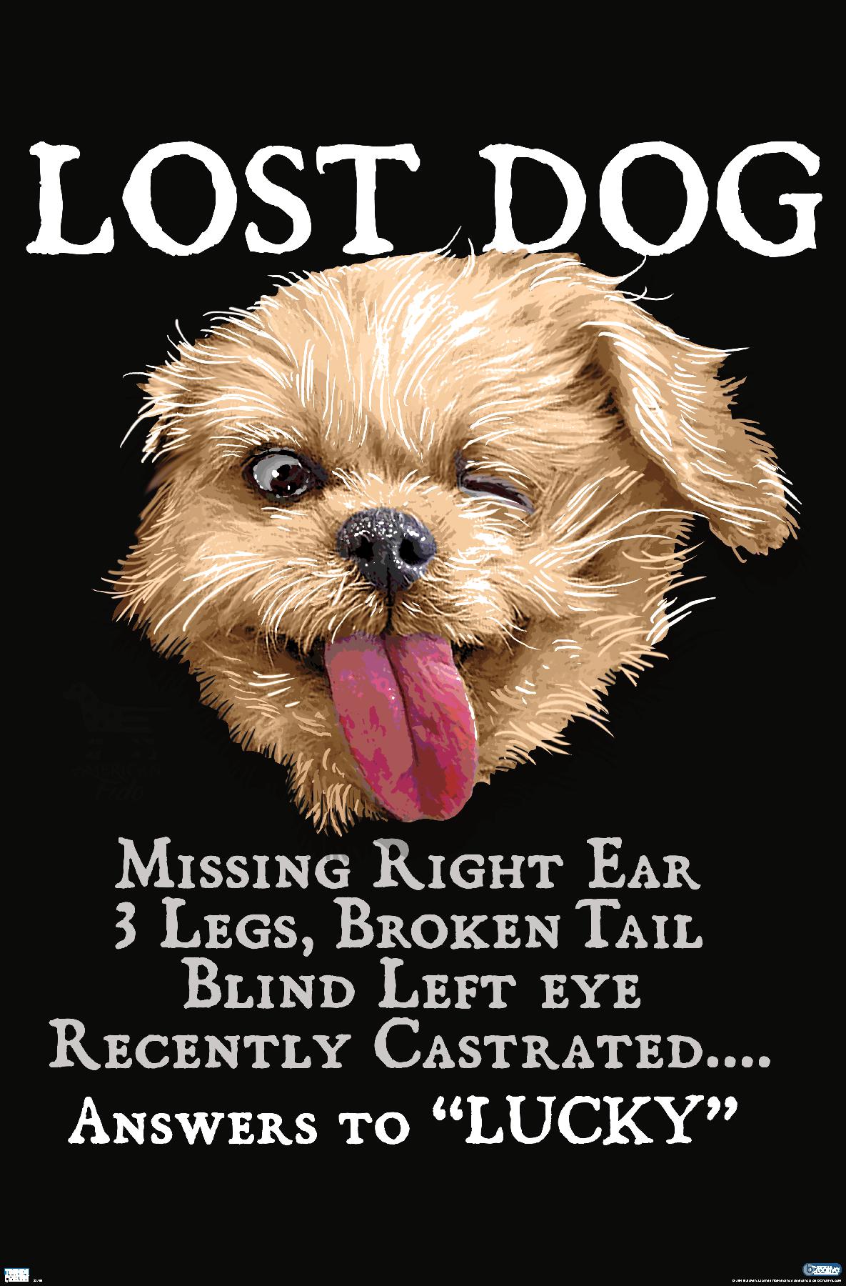 Jim Baldwin - Lost Dog - Poster - Bild 1 von 4