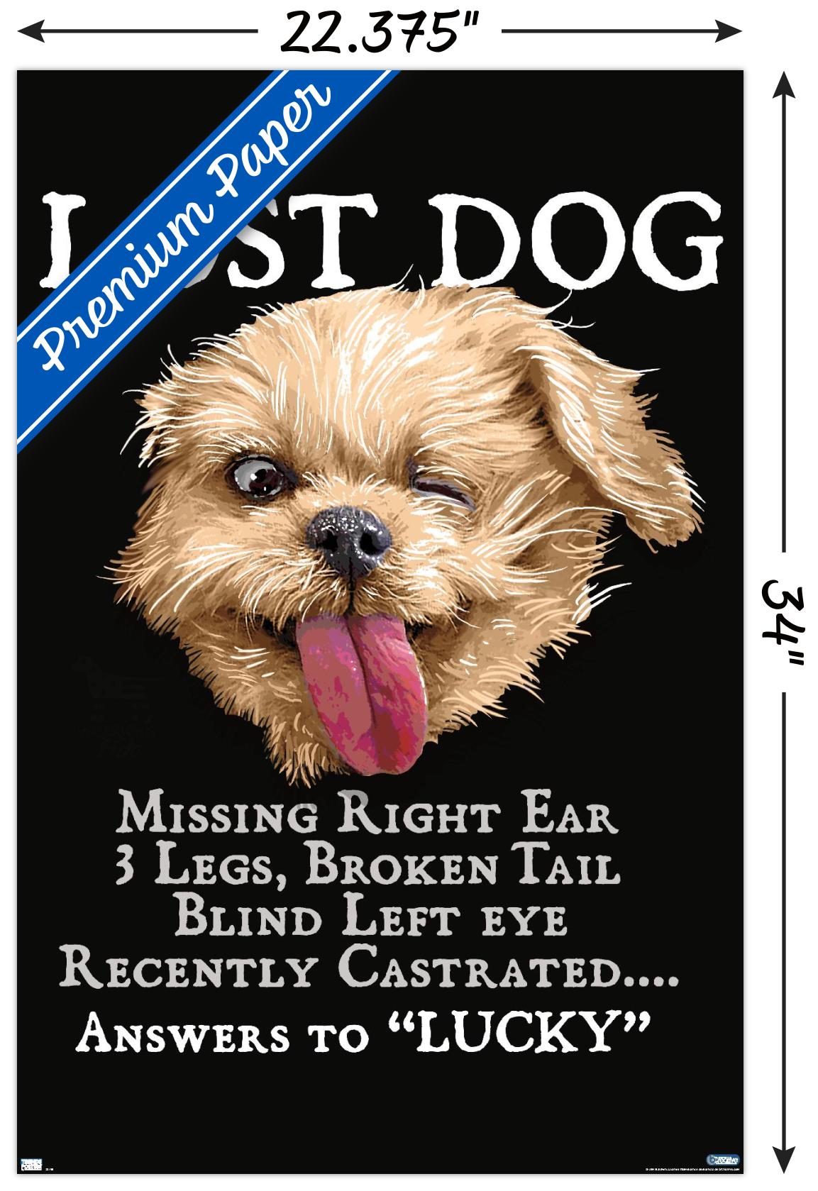 Jim Baldwin - Lost Dog - Poster - Bild 3 von 4
