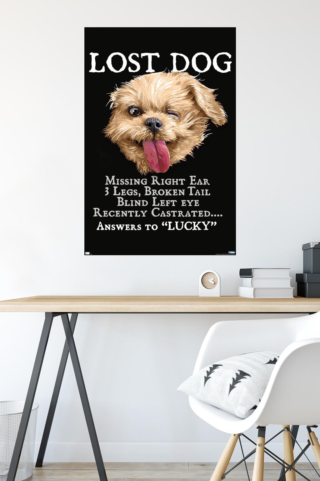 Jim Baldwin - Lost Dog - Poster - Bild 4 von 4