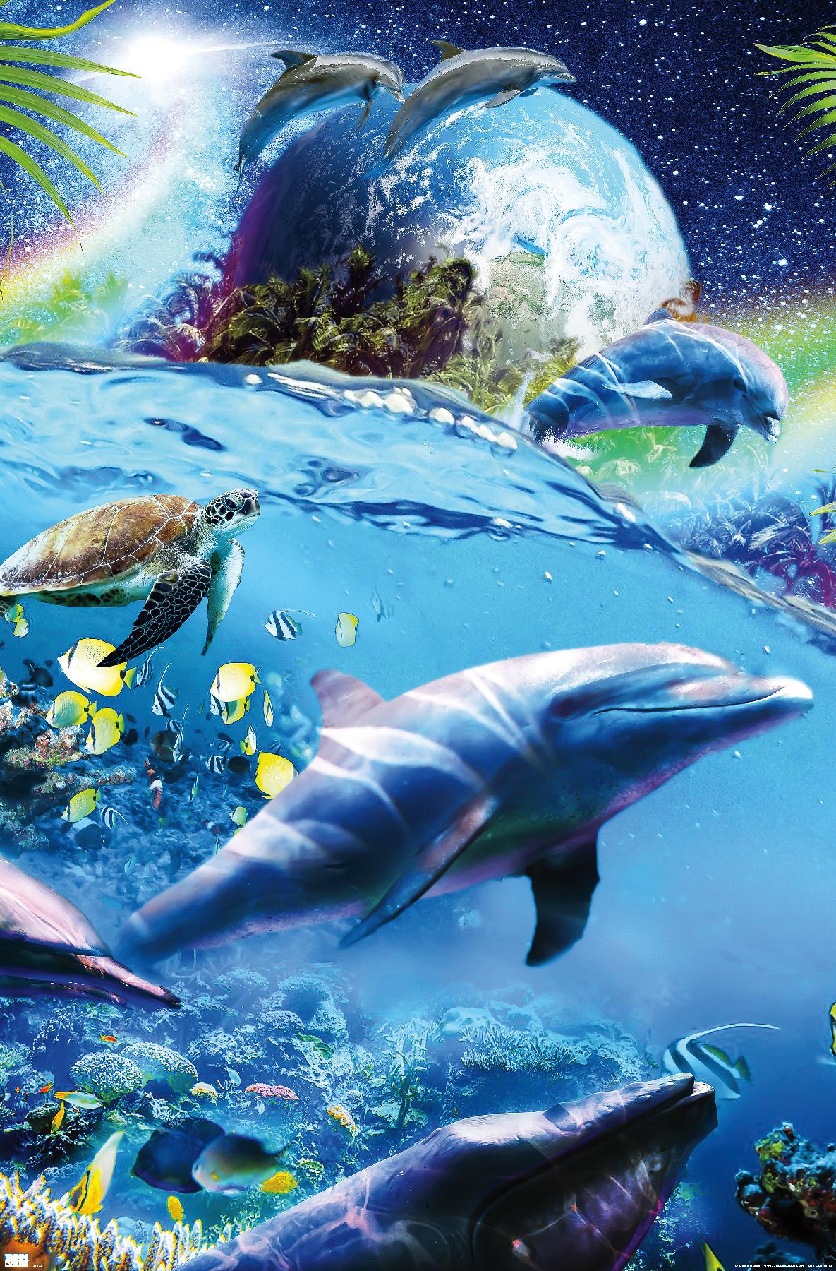 Póster de James Booker - Space Dolphins - Imagen 1 de 4