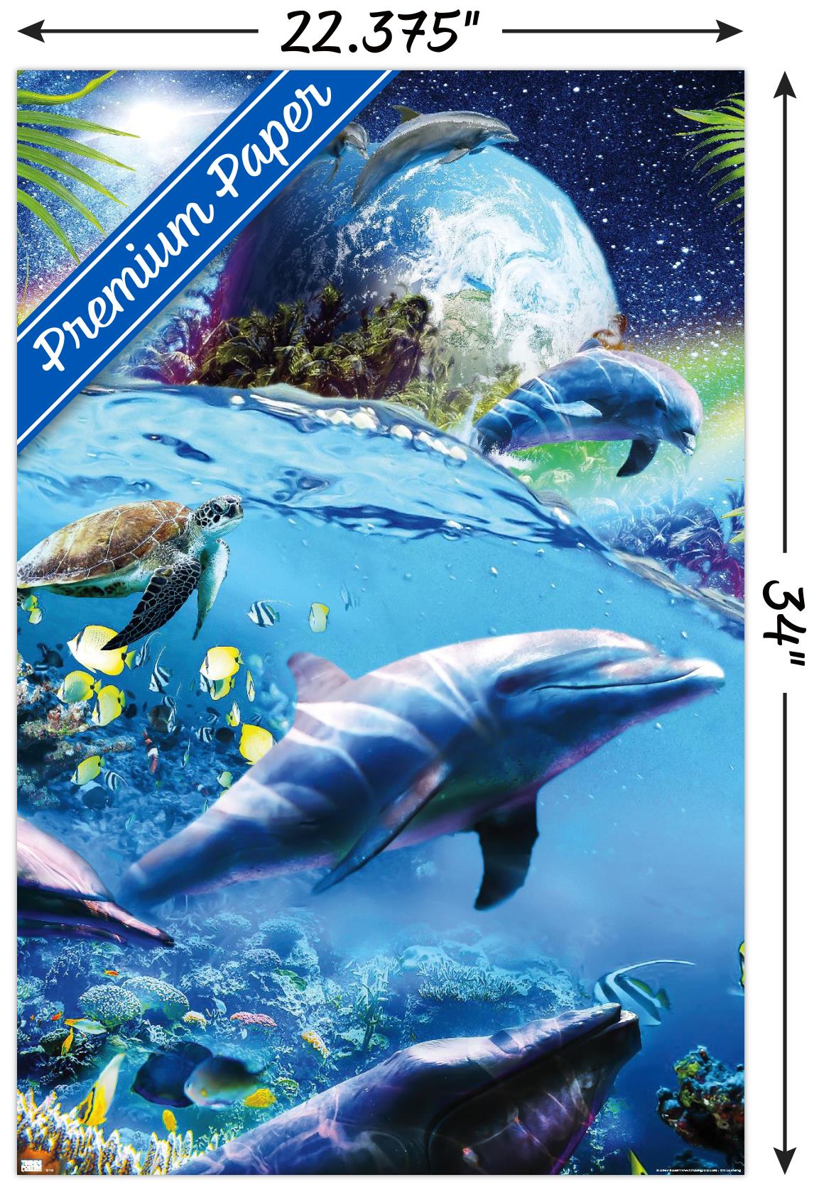 Póster de James Booker - Space Dolphins - Imagen 3 de 4