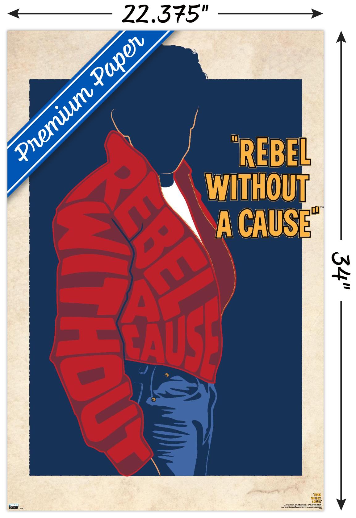 Warner 100th Anniversary: Art of 100th - Rebel Without A Cause - Poster - Picture 3 of 4