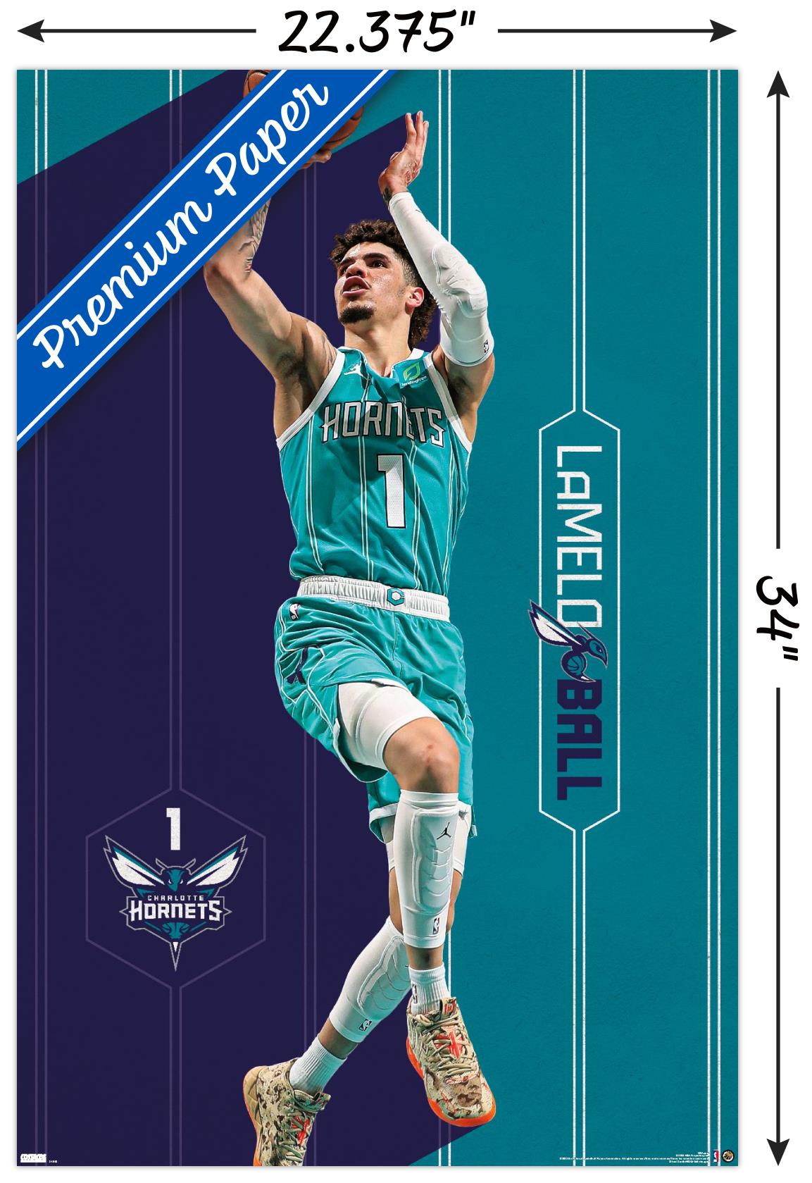 NBA Charlotte Hornets - LaMelo Ball 23 - Poster | eBay