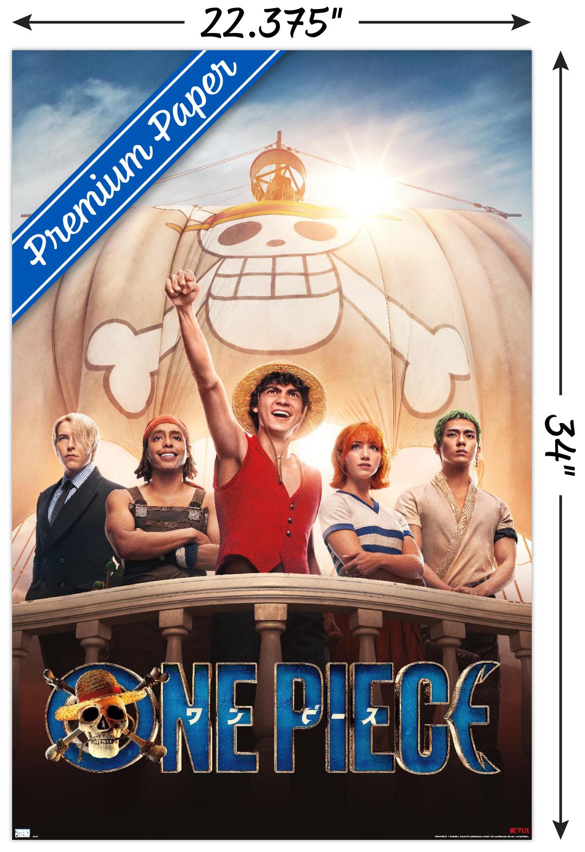 Netflix One Piece - One Sheet - Poster - Bild 3 von 4