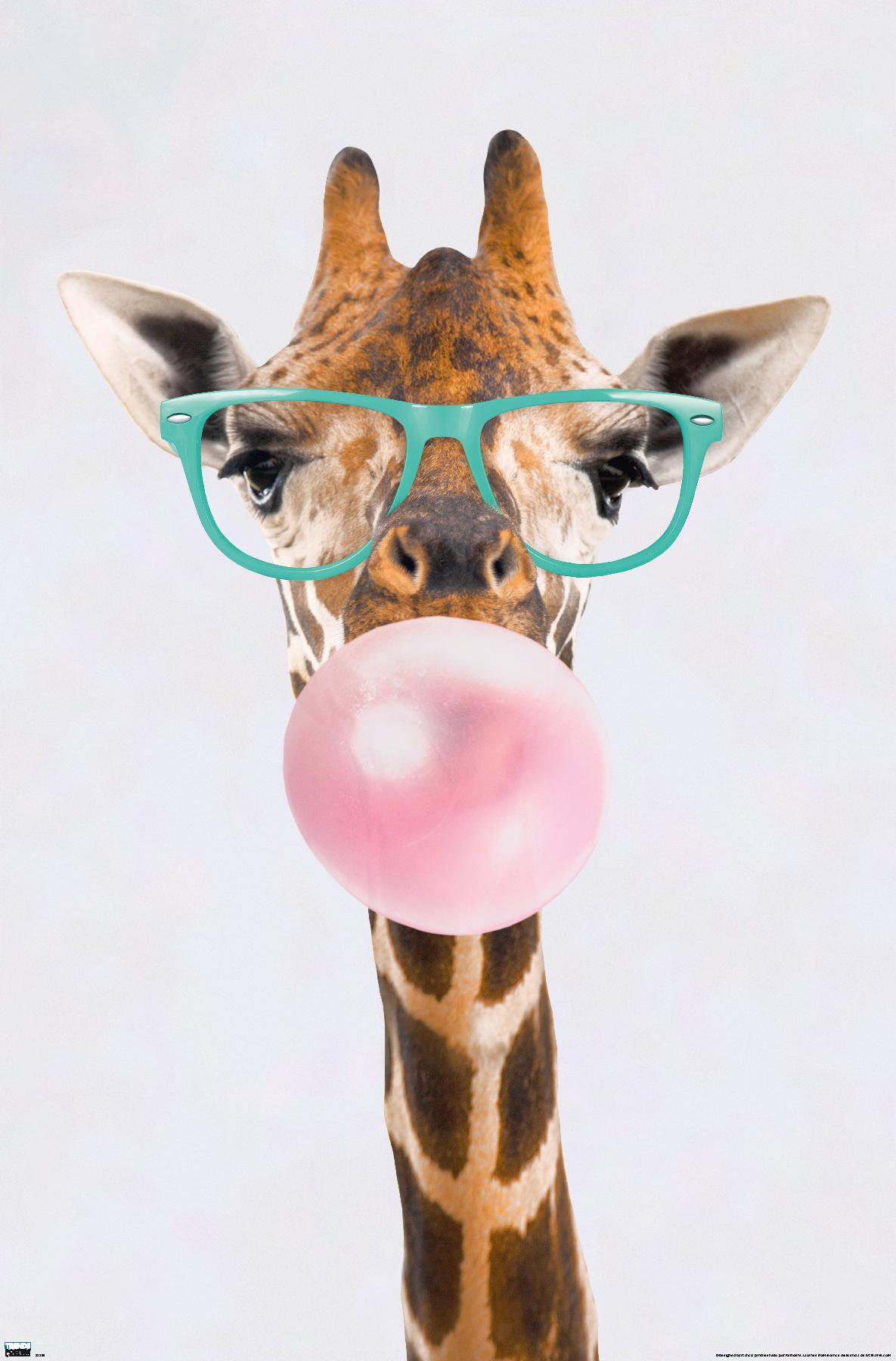 Reinders - Funky Giraffe - Poster