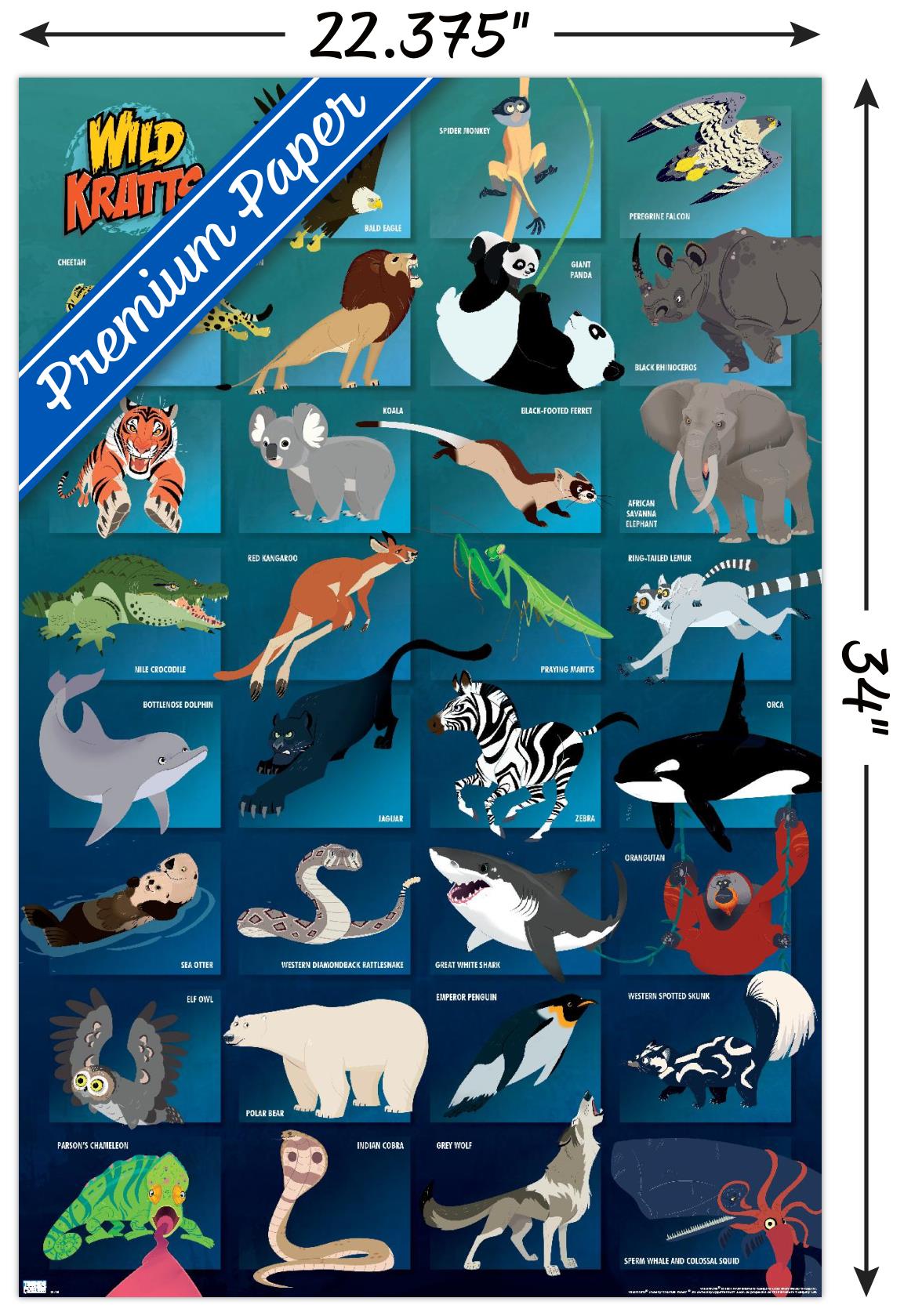 Wild Kratts - Grid - Poster - Bild 3 von 4