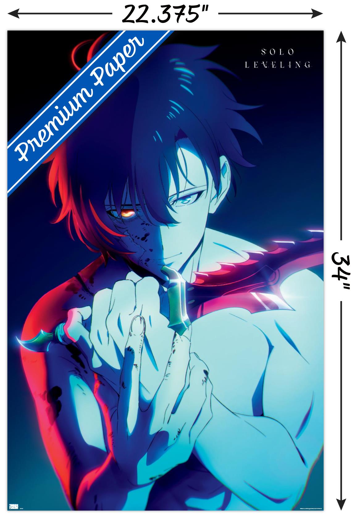 Solo Leveling - Sung Teaser - Poster - Bild 3 von 4