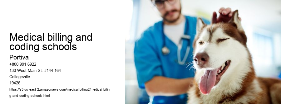 medical billing and coding schools