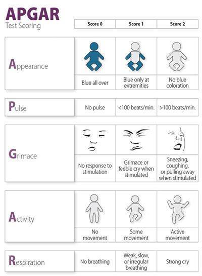 Quick and Dirty Guide to APGAR Tests and Scoring
