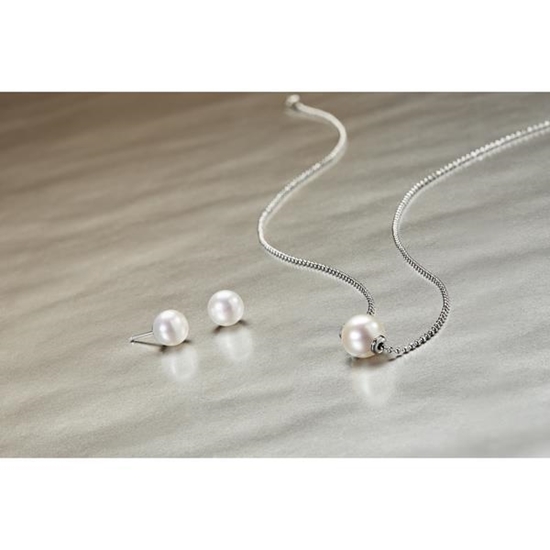 MileagePlus Merchandise Awards. Honora 