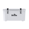 Picture of Grizzly 45-Qt. Cooler
