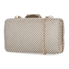 Picture of Jessica McClintock Arlo Clutch
