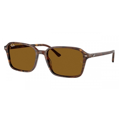 Picture of Ray-Ban Raimond Sunglasses-Transparent Fantasy Brown Frame
