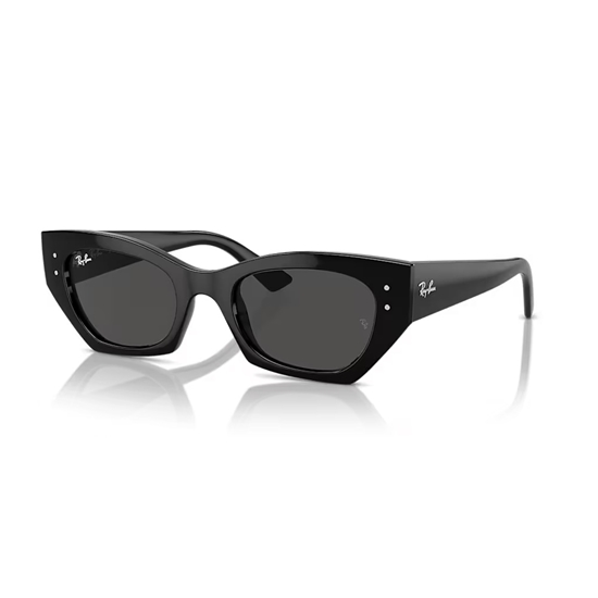 Picture of Ray-Ban Zena Bio-Based Sunglasses-Black Frame/Dark Grey Lenses