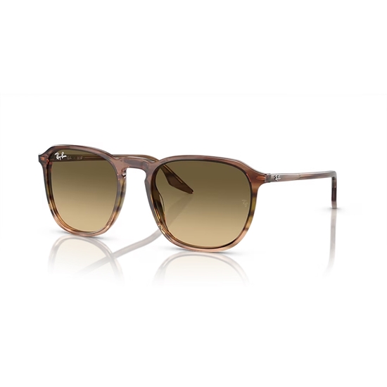 Picture of Ray-Ban RB2203 Sunglasses-Brown/Green Frame/Black Lenses