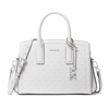 Picture of Michael Kors Laila Small Satchel