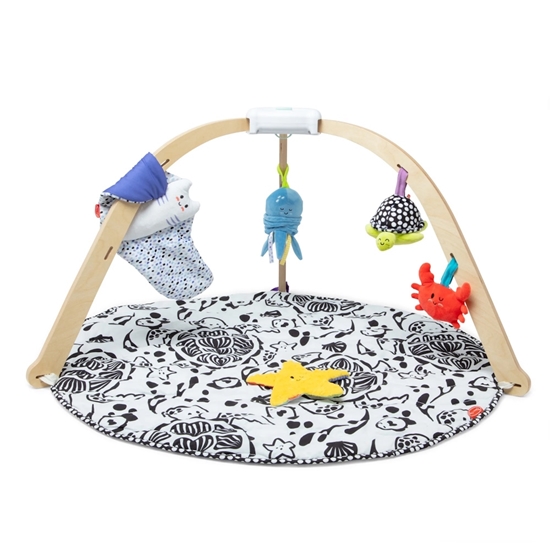 Picture of Melissa & Doug Ocean Easy-Fold Play Gym