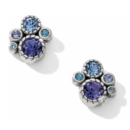 Picture of Brighton Halo Post Earrings - Silver/Tanzanite