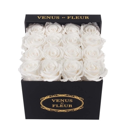 Picture of Venus et Fleur Small Square Black Classic - Pure White Roses