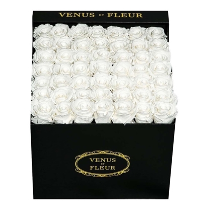 Picture of Venus et Fleur Large Square Black Classic - Pure White Roses
