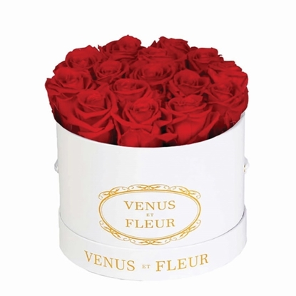 Picture of Venus Et Fleur Small Round White Classic - Red Roses