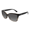 Picture of Maui Jim® Starfish Sunglasses - Black with Tortoise