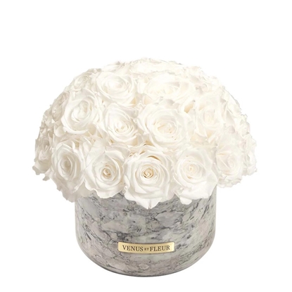 Picture of Venus et Fleur Gia Vase - Pure White Roses