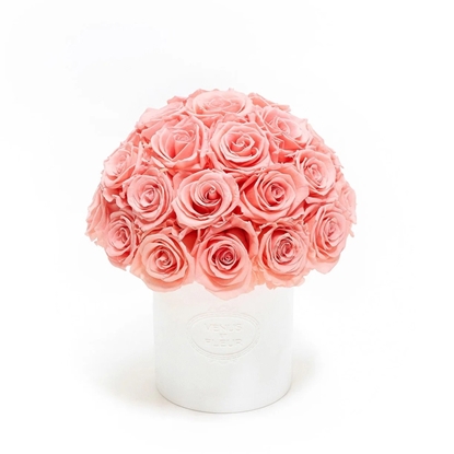Picture of Venus et Fleur Fleura Vase - Pink Roses