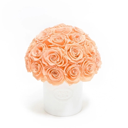 Picture of Venus et Fleur Fleura Vase - Peach Nectar Roses