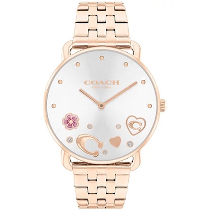 Picture of Coach Elliot Women's Watch with Scattered Charms