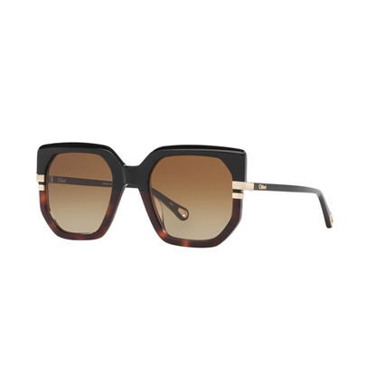 Picture of Chloe Oversized Sunglasses - Black/Havana