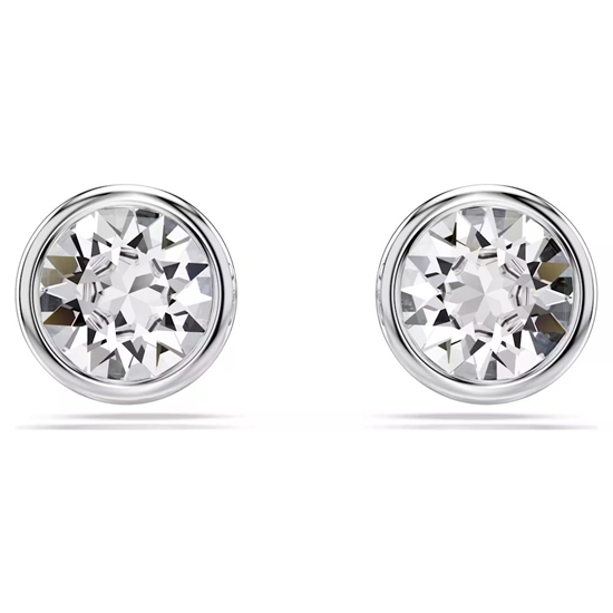 Picture of Swarovski Imber Stud Earrings - Rhodium