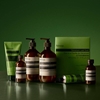Picture of Aesop Geranium Leaf Duet