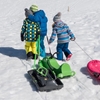 Picture of Kettler Snow Fox Sled - Anthracite