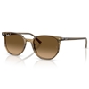 Picture of Ray-Ban Elliot Sunglass- Striped Green/Polarized Brwn Gradient