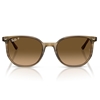 Picture of Ray-Ban Elliot Sunglass- Striped Green/Polarized Brwn Gradient