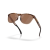 Picture of Oakley Frogskins Range XL- Brn Tort/Brwn Smke/Prizm Tung Polar