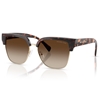 Picture of Michael Kors St. Eustatius Sunglasses- Dark Tort/Smke Gradient