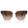 Picture of Michael Kors St. Eustatius Sunglasses- Dark Tort/Smke Gradient
