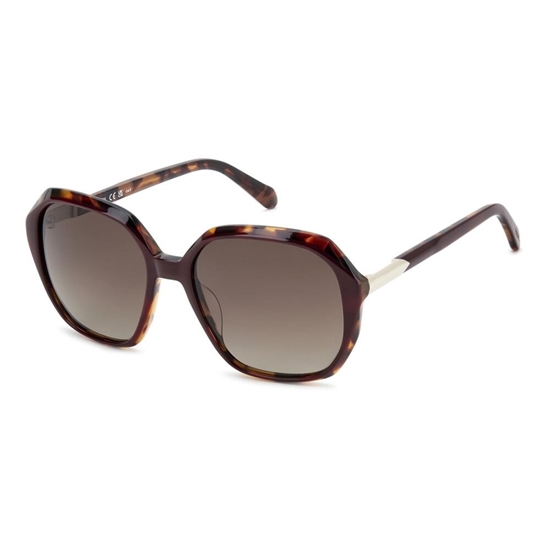 Picture of Fossil 2159/S Burgundy Sunglasses - Tortoise/Brown