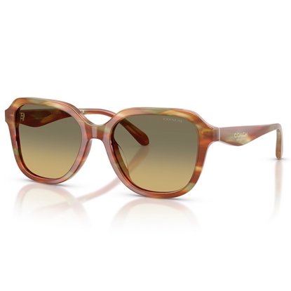 Picture of Coach Oval Square Sunglasses- Bark/Moss with Grn Grey Gradient