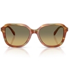 Picture of Coach Oval Square Sunglasses- Bark/Moss with Grn Grey Gradient