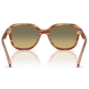 Picture of Coach Oval Square Sunglasses- Bark/Moss with Grn Grey Gradient