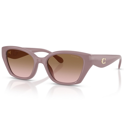Picture of Coach C Hardware Square Cat Eye Sunglasses - Milky Putty