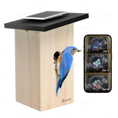 Picture of Birdfy Bird House Ebony Lite