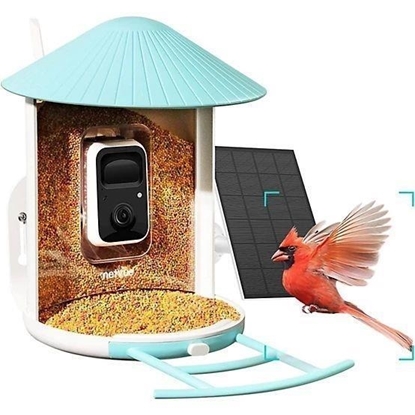 Picture of Birdfy Video Bird Feeder with Solar