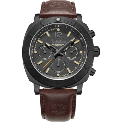 Picture of Timberland Black Dial and Dark Brown Strap Watch