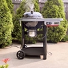 Picture of Weber Performer Smart Charcoal Grill - Black