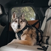 Picture of Thule Cappy Dog Car Harness - Large